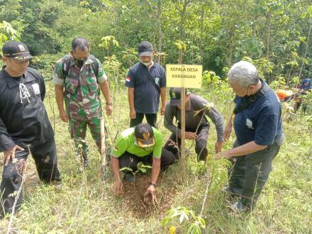 PENANAMAN SERIBU POHON